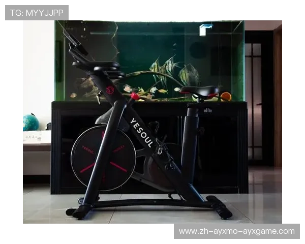 小型健身器材推荐:家用健身房的理想选择 小型健身器材推荐:家用健身房的理想选择