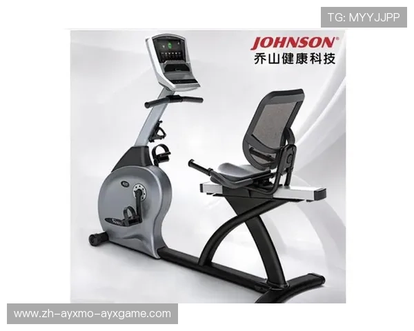 高档健身器材:高端健身器材的设计、性能与品牌推荐