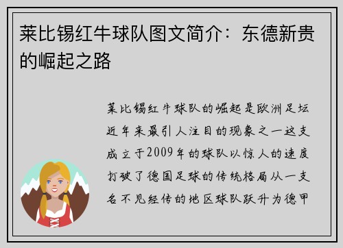 莱比锡红牛球队图文简介：东德新贵的崛起之路
